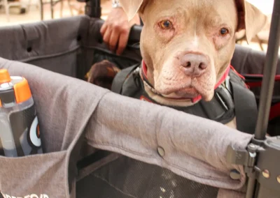 Project Connect | Photo Gallery