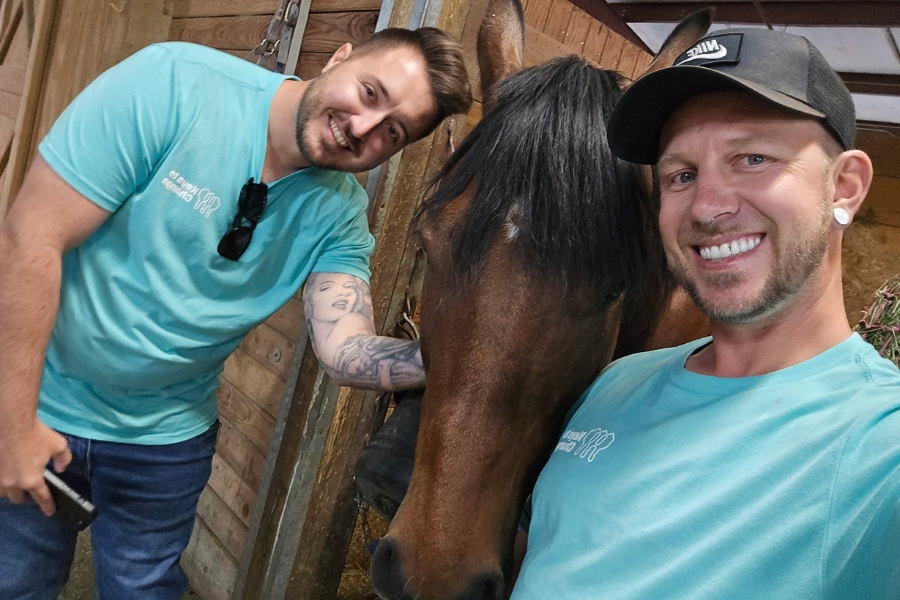 Staff with horse
